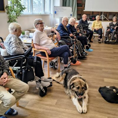 Setkání se zvířaty (1. část)