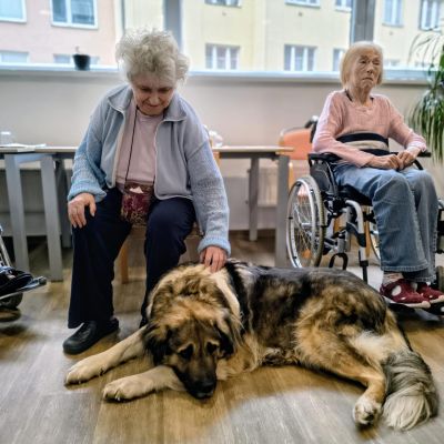 Setkání se zvířaty (1. část)