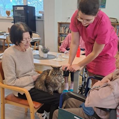 Setkání se zvířaty (2. část)